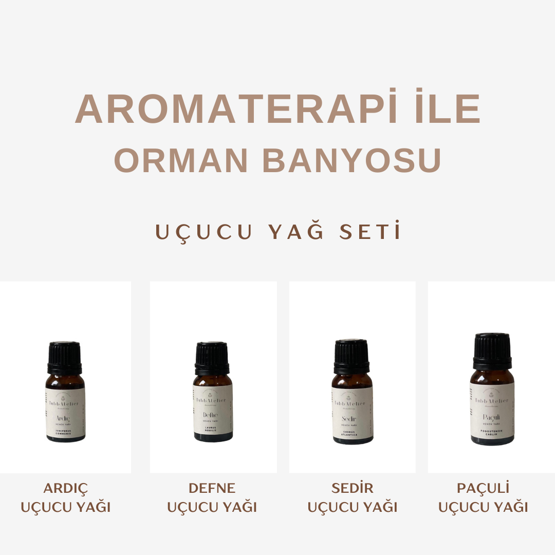 Aromaterapi ile Orman Banyosu